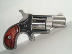 North American Arms Pug