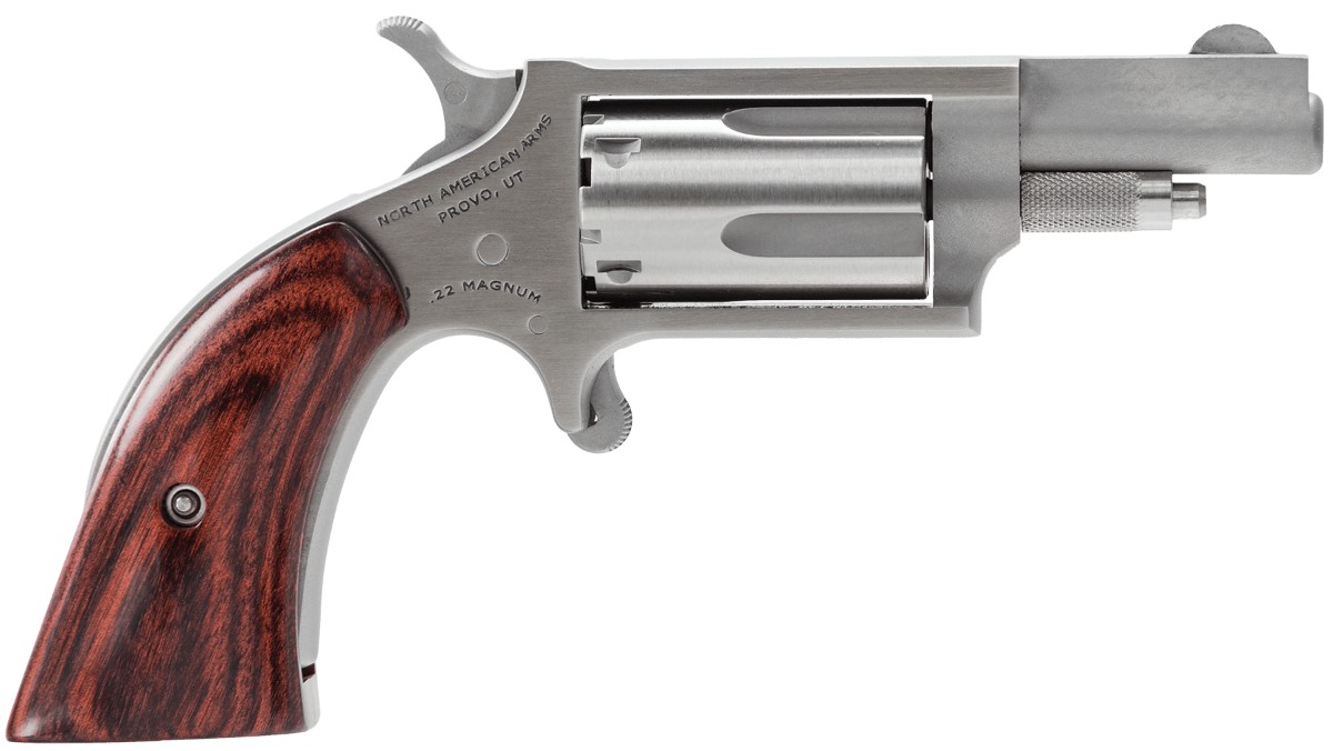 NAA Mini-Revolver .22LR